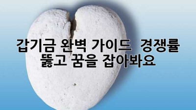 갑기금 완벽 가이드 🚀 경쟁률 뚫고 꿈을 잡아봐요! ✨