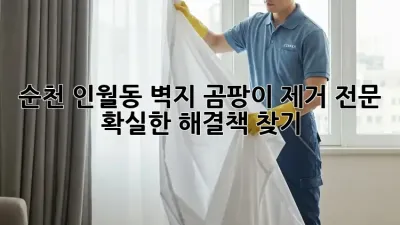 순천 인월동 벽지 곰팡이 제거 전문: 확실한 해결책 찾기