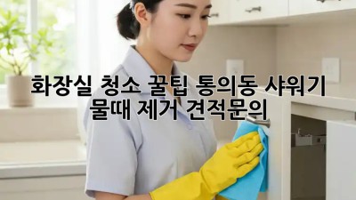 화장실 청소 꿀팁🍯: 통의동 샤워기 물때 제거 [견적문의]